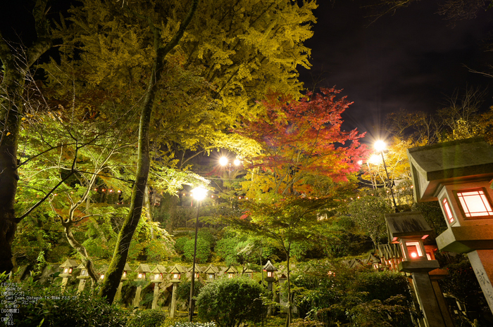 Nikon,Df_Ai_朝護孫子寺・紅葉_2013yaotomi_37s.jpg