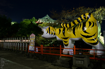 Nikon,Df_Ai_朝護孫子寺・紅葉_2013yaotomi_5s.jpg