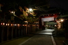 Nikon,Df_Ai_朝護孫子寺・紅葉_2013yaotomi_7full.jpg