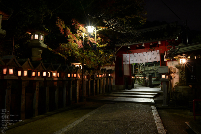 Nikon,Df_Ai_朝護孫子寺・紅葉_2013yaotomi_7s.jpg