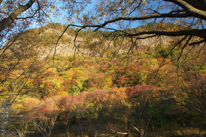 曽爾,屏風岩公苑,紅葉（PENTAX-K3）_2013yaotomi_23s.jpg