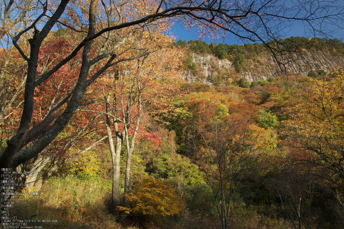 曽爾,屏風岩公苑,紅葉（PENTAX-K3）_2013yaotomi_27(17mm)s.jpg