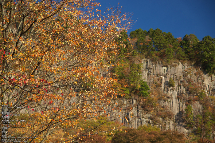 曽爾,屏風岩公苑,紅葉（PENTAX-K3）_2013yaotomi_27(70mm)s.jpg