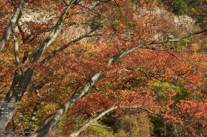 曽爾,屏風岩公苑,紅葉（PENTAX-K3）_2013yaotomi_28s.jpg