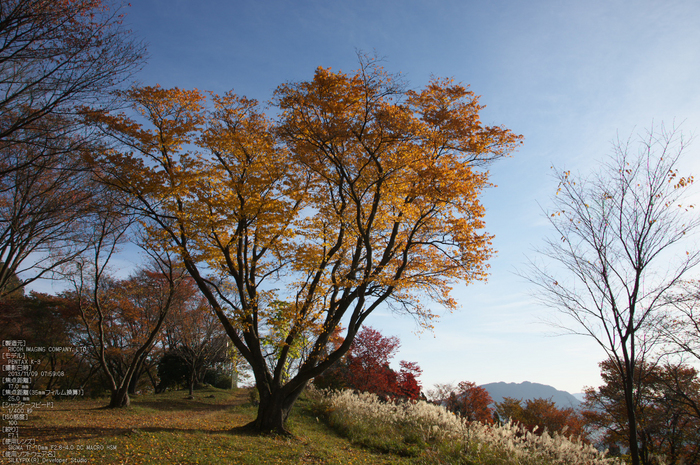 曽爾,屏風岩公苑,紅葉（PENTAX-K3）_2013yaotomi_36s.jpg