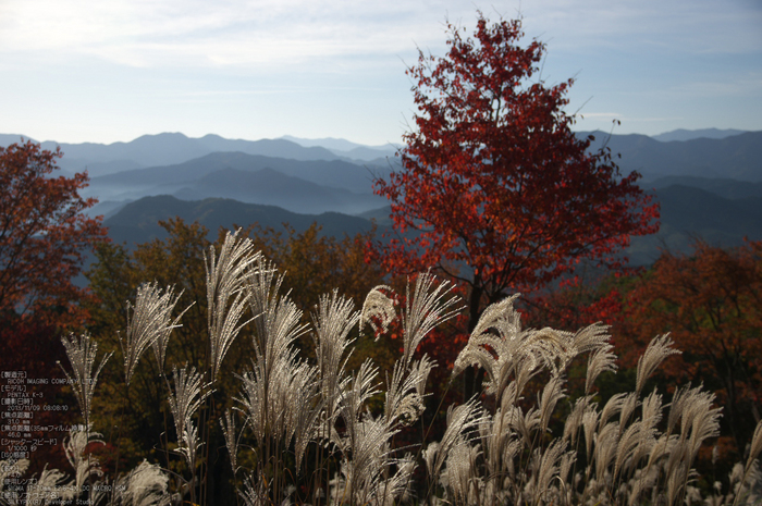 曽爾,屏風岩公苑,紅葉（PENTAX-K3）_2013yaotomi_50s.jpg