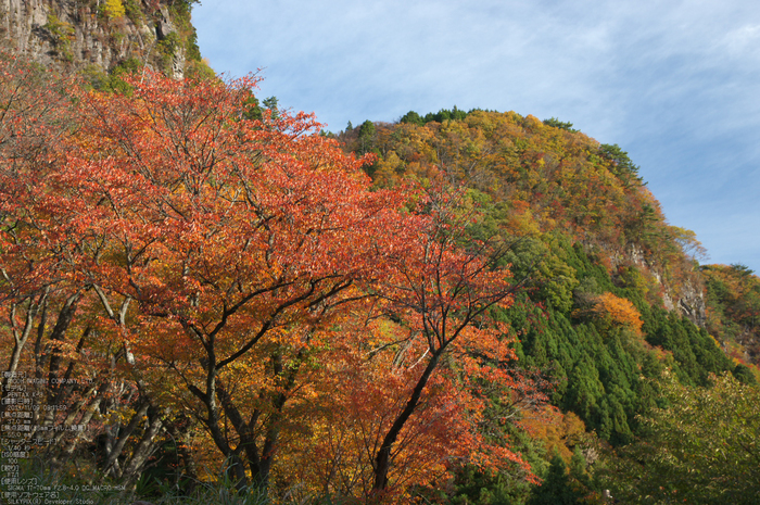 曽爾,屏風岩公苑,紅葉（PENTAX-K3）_2013yaotomi_51s.jpg