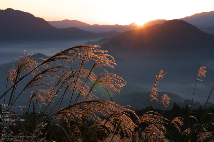 曽爾,屏風岩公苑,紅葉（PENTAX-K3）_2013yaotomi_8s.jpg