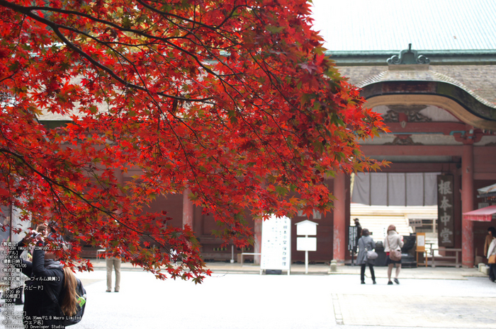 比叡山延暦寺,紅葉（PENTAX-K3）_2013yaotomi_10s.jpg