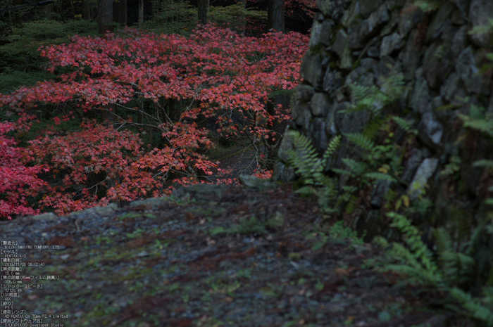 比叡山延暦寺,紅葉（PENTAX-K3）_2013yaotomi_15s.jpg