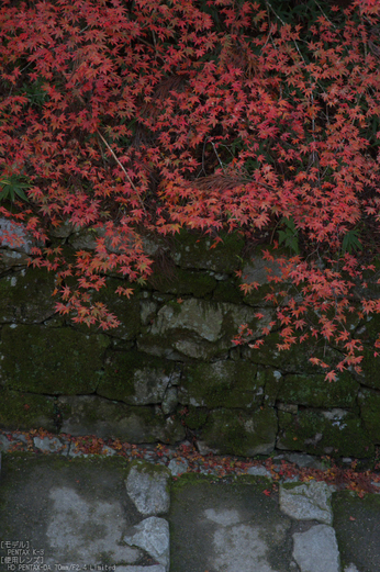 比叡山延暦寺,紅葉（PENTAX-K3）_2013yaotomi_18s.jpg