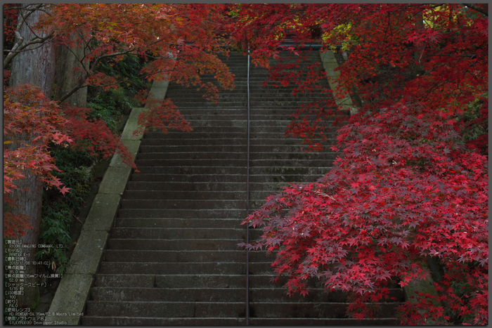 比叡山延暦寺,紅葉（PENTAX-K3）_2013yaotomi_1st.jpg