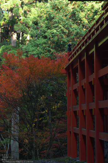 比叡山延暦寺,紅葉（PENTAX-K3）_2013yaotomi_21s.jpg