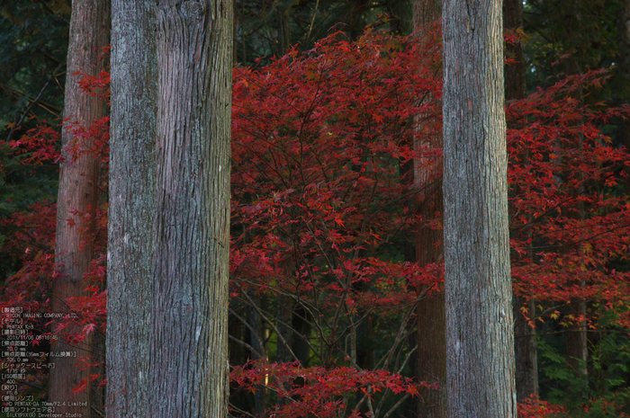 比叡山延暦寺,紅葉（PENTAX-K3）_2013yaotomi_22s.jpg