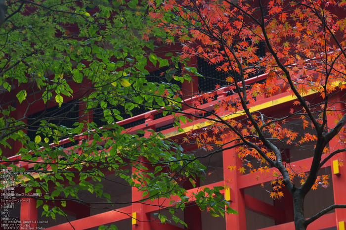 比叡山延暦寺,紅葉（PENTAX-K3）_2013yaotomi_23s.jpg