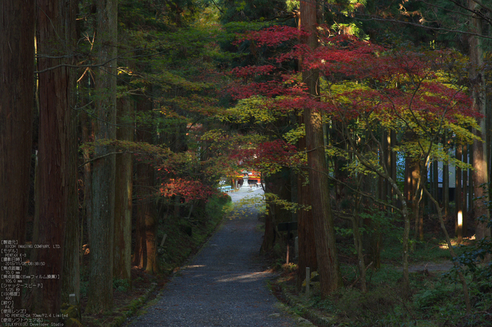 比叡山延暦寺,紅葉（PENTAX-K3）_2013yaotomi_27s.jpg