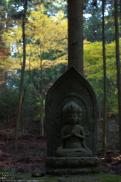 比叡山延暦寺,紅葉（PENTAX-K3）_2013yaotomi_28s.jpg