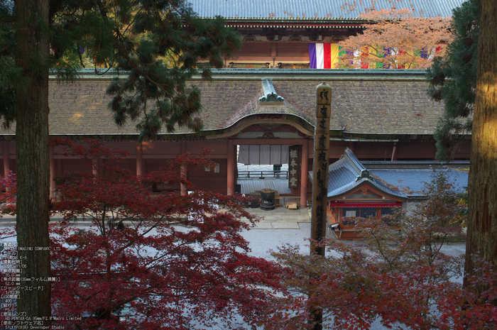 比叡山延暦寺,紅葉（PENTAX-K3）_2013yaotomi_2s.jpg