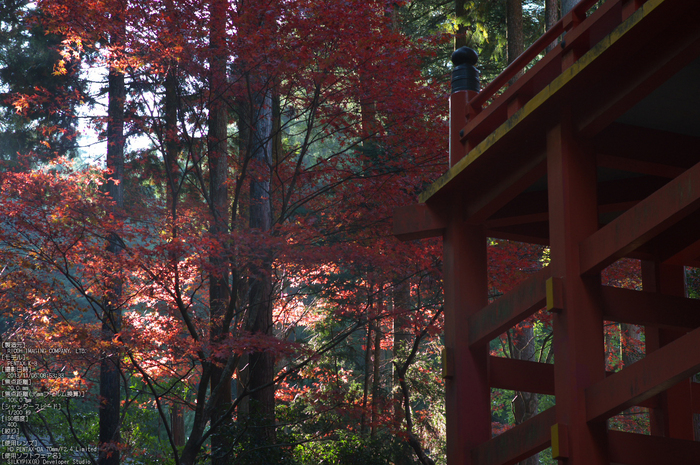 比叡山延暦寺,紅葉（PENTAX-K3）_2013yaotomi_31s.jpg