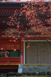比叡山延暦寺,紅葉（PENTAX-K3）_2013yaotomi_35s.jpg