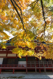 比叡山延暦寺,紅葉（PENTAX-K3）_2013yaotomi_3s.jpg