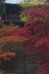 比叡山延暦寺,紅葉（PENTAX-K3）_2013yaotomi_5s.jpg