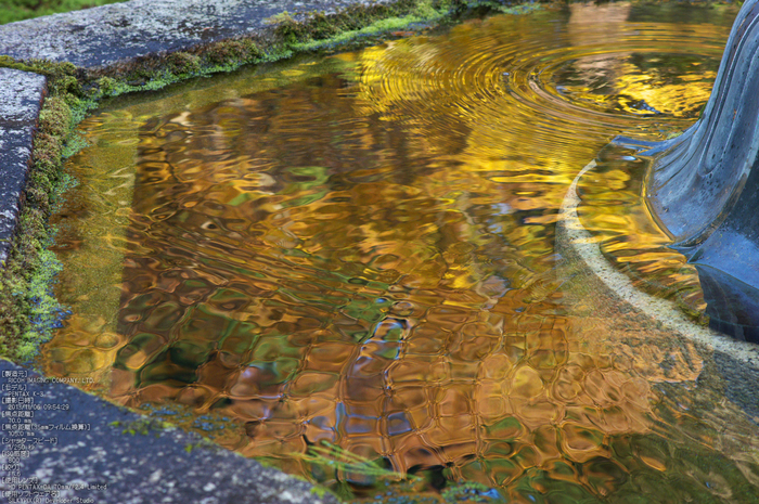比叡山延暦寺（浄土院）,紅葉（PENTAX-K3）_2013yaotomi_10s.jpg