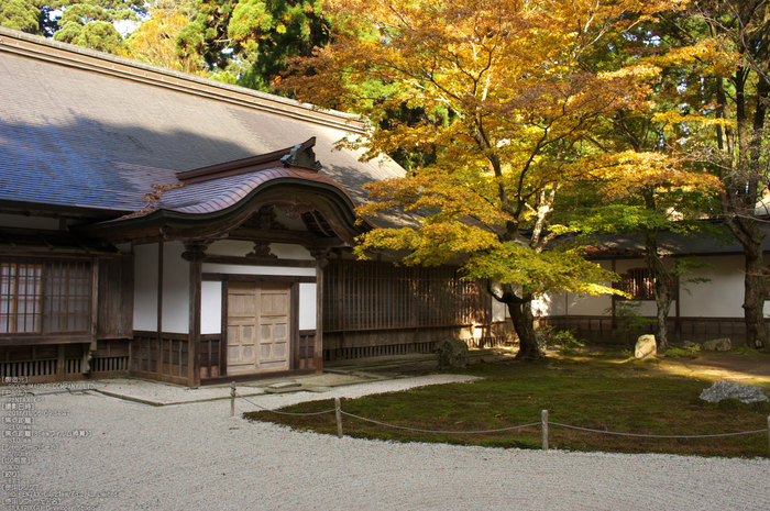 比叡山延暦寺（浄土院）,紅葉（PENTAX-K3）_2013yaotomi_2s.jpg