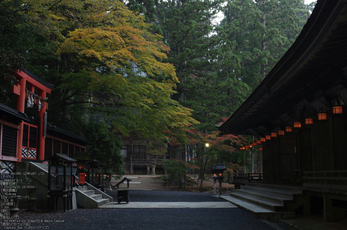 高野山,紅葉（PENTAX-K3）_2013yaotomi_10s.jpg