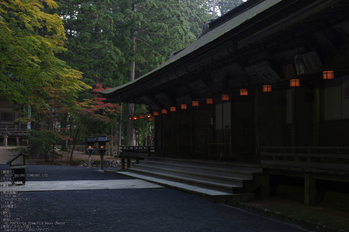 高野山,紅葉（PENTAX-K3）_2013yaotomi_11s.jpg