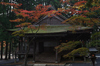 高野山,紅葉（PENTAX-K3）_2013yaotomi_15full.jpg