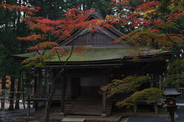 高野山,紅葉（PENTAX-K3）_2013yaotomi_15s.jpg