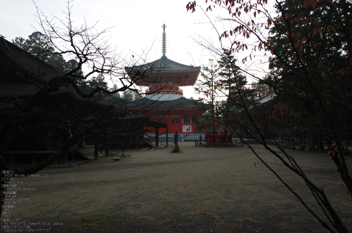 高野山,紅葉（PENTAX-K3）_2013yaotomi_16s.jpg