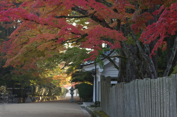 高野山,紅葉（PENTAX-K3）_2013yaotomi_18s.jpg