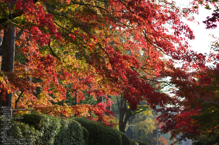 高野山,紅葉（PENTAX-K3）_2013yaotomi_21s.jpg