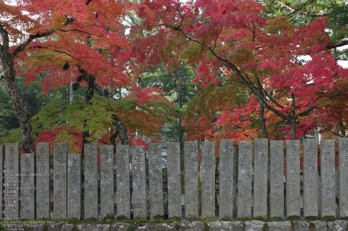 高野山,紅葉（PENTAX-K3）_2013yaotomi_25s.jpg