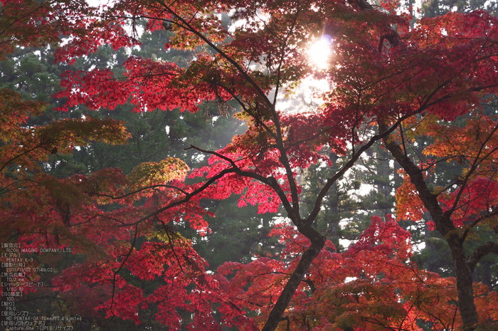 高野山,紅葉（PENTAX-K3）_2013yaotomi_26s.jpg