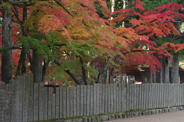 高野山,紅葉（PENTAX-K3）_2013yaotomi_27s.jpg