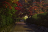 高野山,紅葉（PENTAX-K3）_2013yaotomi_2full.jpg