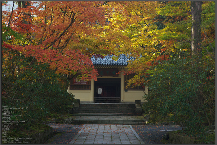 高野山,紅葉（PENTAX-K3）_2013yaotomi_31st.jpg