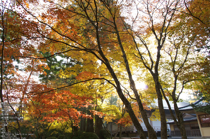 高野山,紅葉（PENTAX-K3）_2013yaotomi_37st.jpg