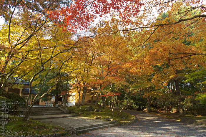 高野山,紅葉（PENTAX-K3）_2013yaotomi_52s.jpg