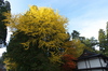 高野山,紅葉（PENTAX-K3）_2013yaotomi_55full.jpg