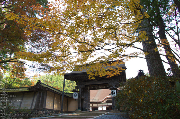 高野山,紅葉（PENTAX-K3）_2013yaotomi_57s.jpg