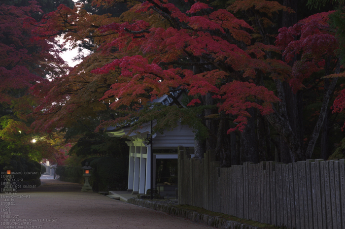 高野山,紅葉（PENTAX-K3）_2013yaotomi_5s.jpg