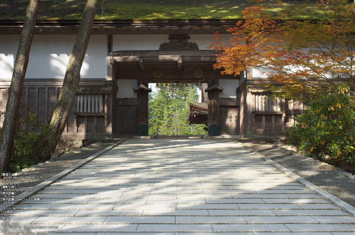 高野山,紅葉（PENTAX-K3）_2013yaotomi_60s.jpg