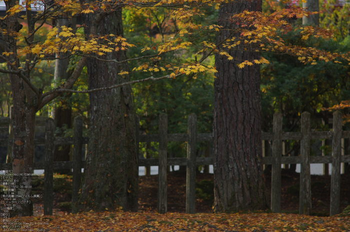 高野山,紅葉（PENTAX-K3）_2013yaotomi_63s.jpg