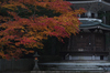 高野山,紅葉（PENTAX-K3）_2013yaotomi_6full.jpg