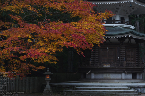 高野山,紅葉（PENTAX-K3）_2013yaotomi_6s.jpg