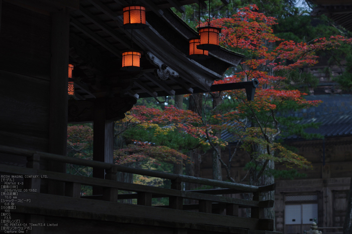 高野山,紅葉（PENTAX-K3）_2013yaotomi_8s.jpg